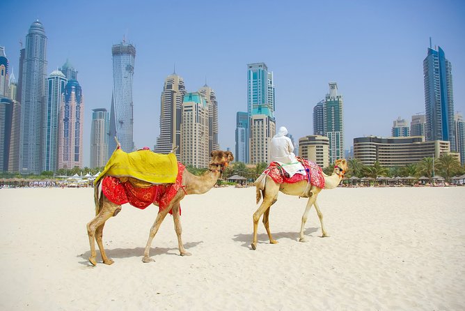 Dubai City Tour with Burj Khalifa at the top entry - A short palace photo stop in Downtown Dubai