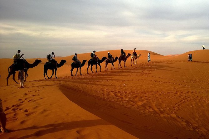 Dubai City Tour with Desert Safari, Camel Ride, Dune Bashing & BBQ - Heading out to Lahbab for the desert program