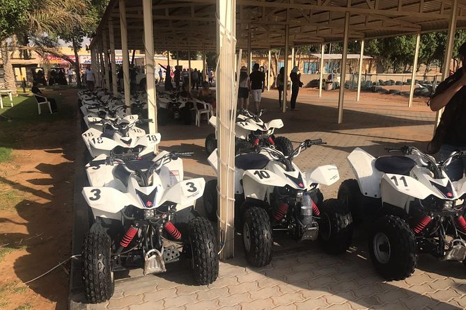 Dubai City Tour with Evening Desert Safari and BBQ Dinner-Combo - Dune bashing, sand boarding, and sunset photographs