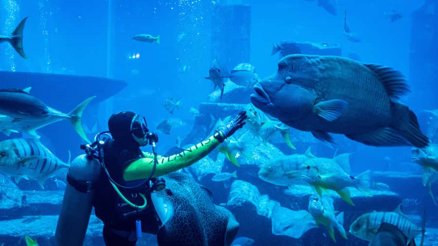 Dubai: City Tour with Iconic Attractions Tickets - Alserkal Avenue and Dubai’s art scene