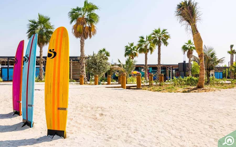 Dubai: City Tour with Professional Guide in Luxury Car - Palm Jumeirah and Atlantis from the road