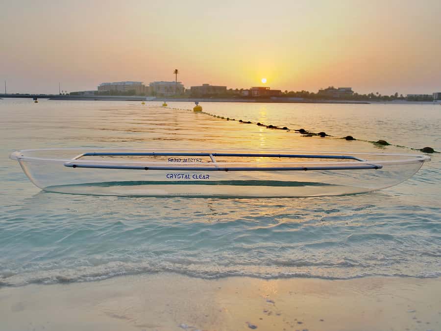 Dubai: Clear Kayaking Experience with Burj Khalifa View - What you may see below the transparent hull