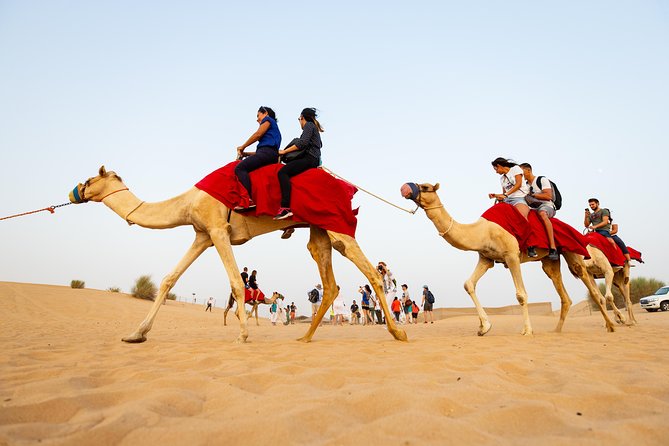 Dubai Combo:City Tour and Premium Desert Safari with all Activities - Two days that show Dubai from opposite sides