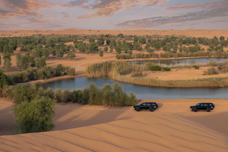 Dubai: Conservation Drive & Platinum Breakfast - Why this desert morning feels different