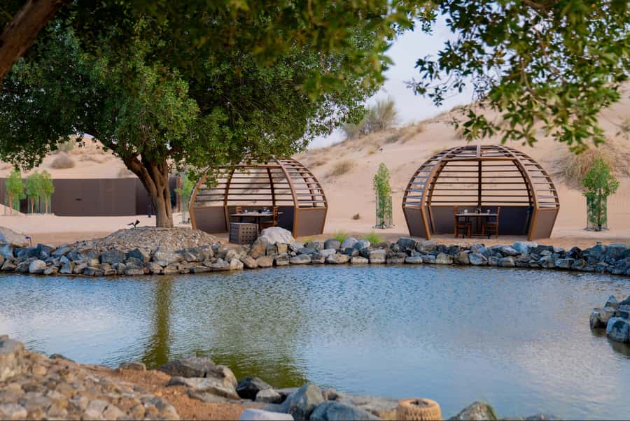 Dubai: Conservation Drive & Platinum Breakfast - The guides can shape the whole morning