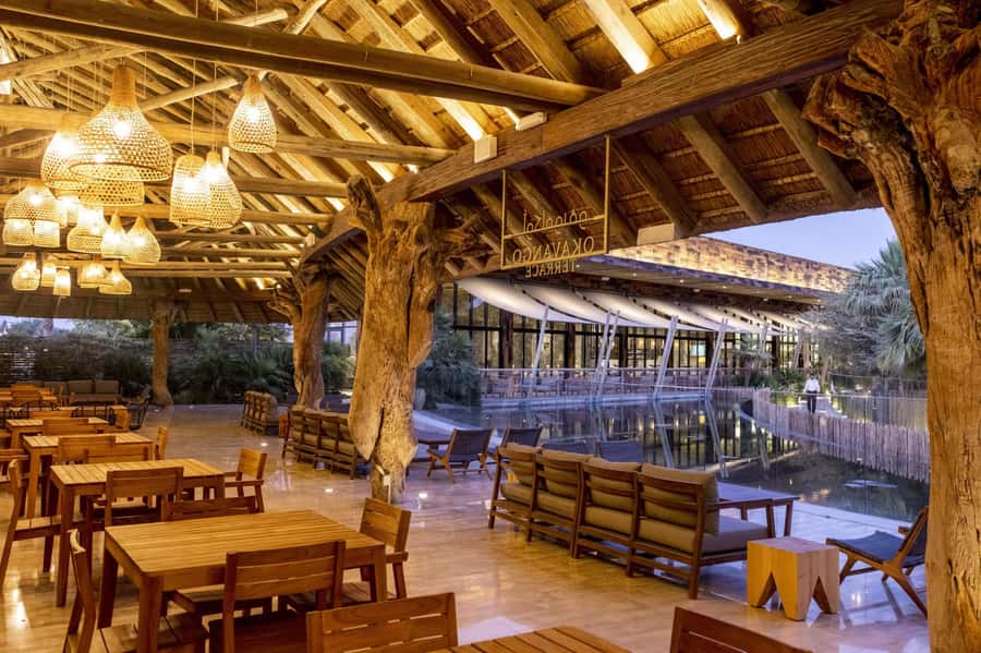 Dubai Crocodile Park Ticket - How long you need and when to visit