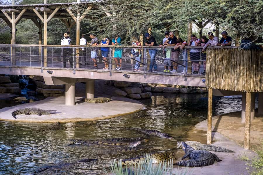 Dubai Crocodile Park Ticket - Who will enjoy this most?