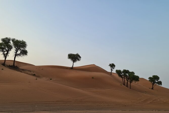 Dubai Desert 4x4 Dune Bashing, Self-Ride 30min ATV Quad, Camel Ride,Shows,Dinner - What the $75 price really covers