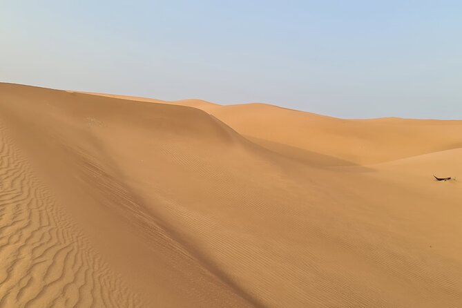 Dubai Desert 4x4 Dune Bashing, Self-Ride 30min ATV Quad, Camel Ride,Shows,Dinner - Who should book this desert safari?