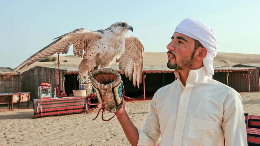 Dubai Desert Adventure: Red Dunes Guided Quad/Polaris & BBQ - Is $82 good value?