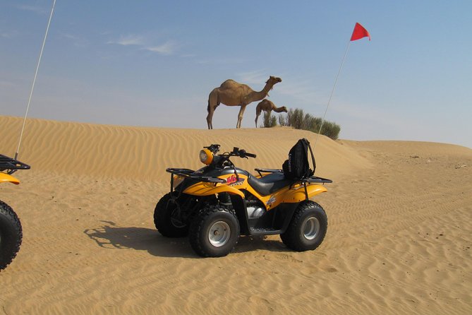 Dubai Desert Afternoon Quad Safari with Camel Ride, BBQ Dinner and Belly Dancing - The camel farm and the short ride