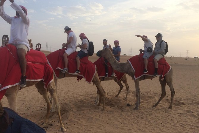 Dubai: Desert Camel Ride with Live Shows & BBQ Buffet Dinner - Sunset photos after the ride
