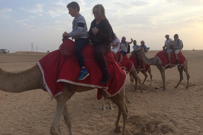 Dubai: Desert Camel Ride with Live Shows & BBQ Buffet Dinner - How much value do you get for $110?