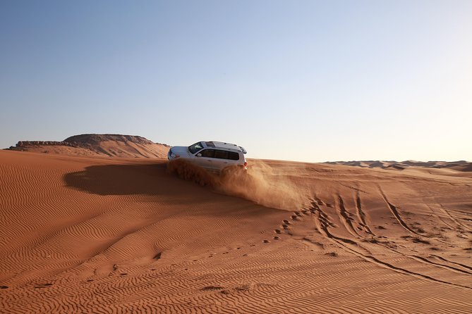 Dubai Desert Discovery: Red Dunes Safari, Sandboard & Camel Ride - The Main Event: Forty-Five Minutes of Dune Bashing