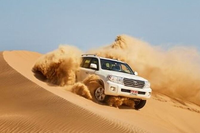 Dubai Desert Escape: Red Dunes Safari, Falcon, Camel & BBQ Dinner - Key points before you book