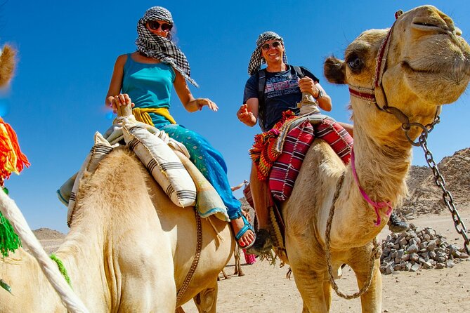 Dubai Desert Escape: Red Dunes Safari, Falcon, Camel & BBQ Dinner - Why Lahbab makes a better desert setting