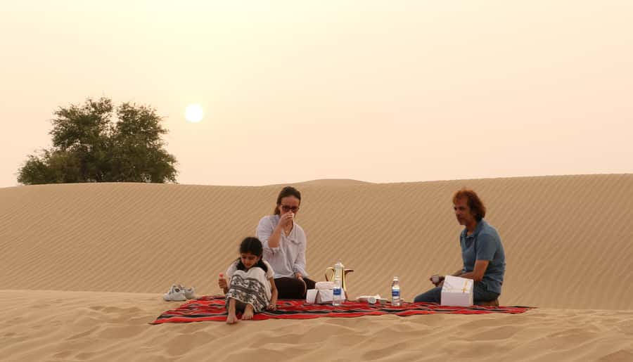 Dubai Desert Morning Drive with Wildlife Experience - Who should book this morning tour?