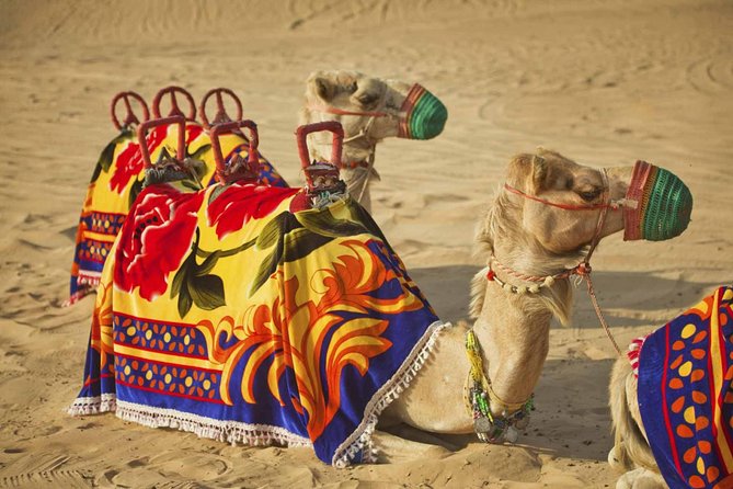 Dubai Desert Safari-BBQ Dinner, Belly Dance, Fire show - Belly dancing, fire, and tanoura spinning