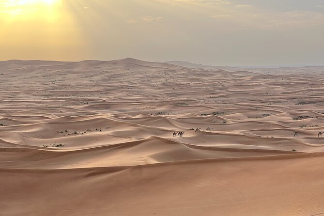Dubai Desert Safari, Camel, Live BBQ & Shows (Private 4x4 Car) - Dune bashing at Al Madam