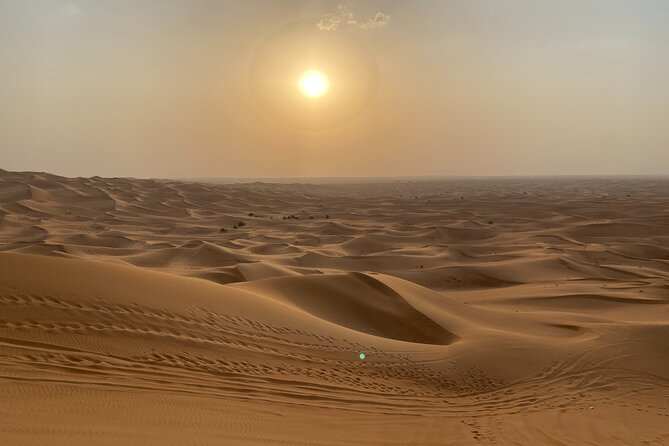 Dubai Desert Safari, Camel, Live BBQ & Shows (Private 4x4 Car) - Dinner under the desert lights