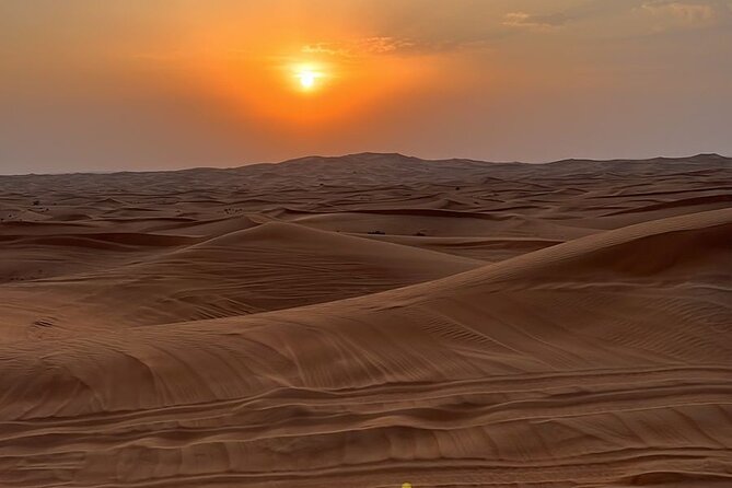 Dubai Desert Safari, Camel, Live BBQ & Shows (Private 4x4 Car) - The guide can shape the whole day