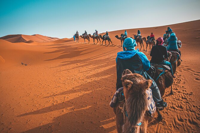 Dubai Desert Safari Camel Ride Sand Boarding BBQ Dinner - A six-hour desert evening from Dubai