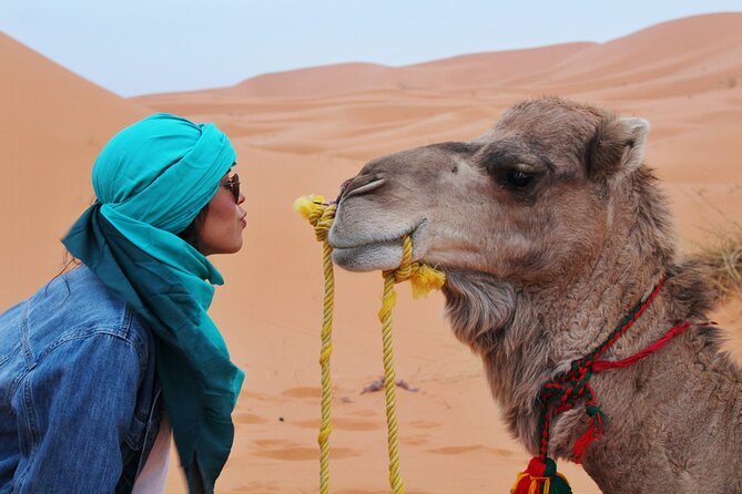 Dubai Desert Safari Camel Ride Sand Boarding BBQ Dinner - The evening stage shows