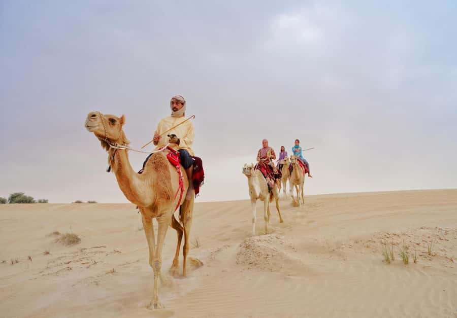 Dubai: Desert Safari, Camel Ride, Sandboard & Buffet Dinner - Camel riding gives you a traditional pause