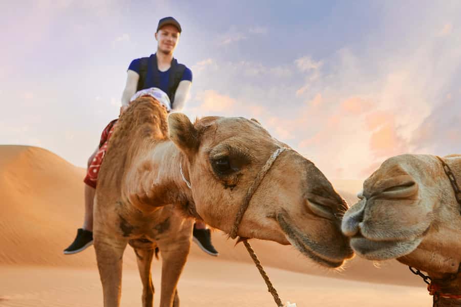Dubai Desert Safari - Camel Ride, Sandboarding & 30 Min Quad - Who will enjoy this safari most?