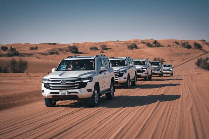 Dubai Desert Safari: Camel Ride, Sandboarding, BBQ & House Drinks - Sunset, falconry, and the best photo stop