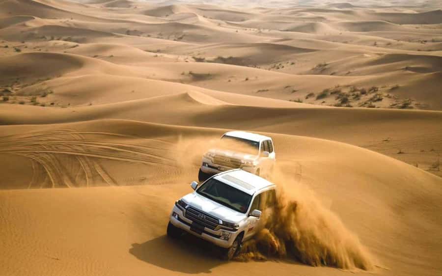 Dubai: Desert Safari, Camel Ride, Sandboarding, Quad Bike - Sandboarding is the easiest activity to try