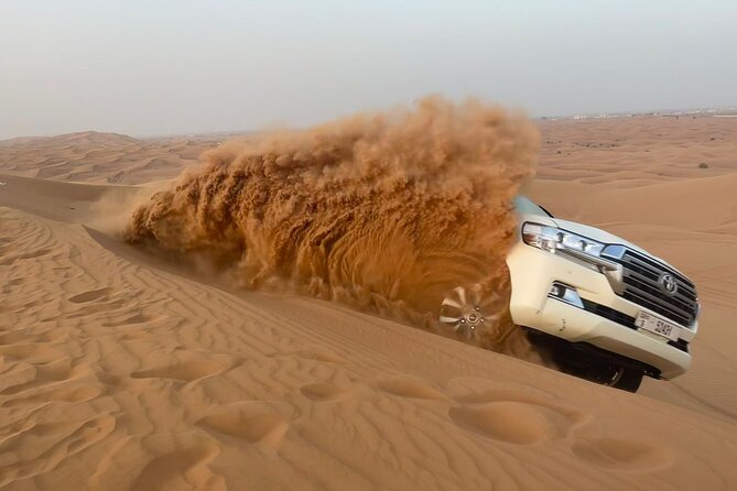 Dubai Desert Safari, Camel Ride, Shisha, Henna, Live BBQ & Shows - Who Will Enjoy This Safari Most