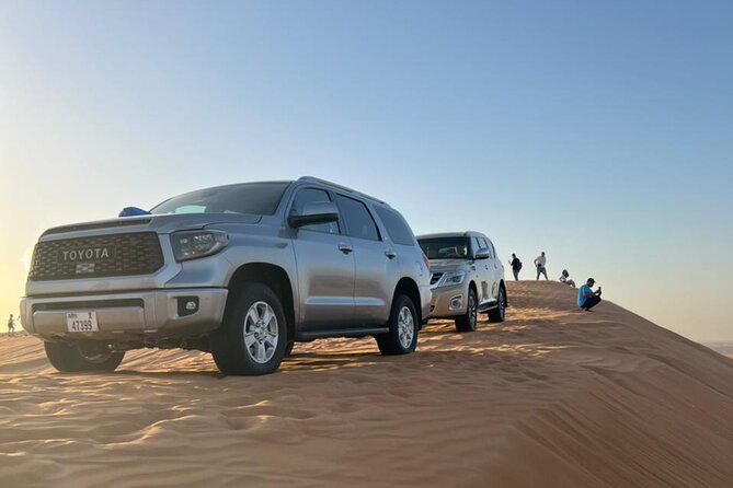 Dubai Desert Safari, Camel Ride, Shisha, Henna, Live BBQ & Shows - Practical Tips for a Smoother Evening