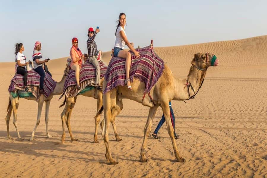 Dubai: Desert Safari Camel Riding, Sandboarding & BBQ Dinner - Key points to know before you book