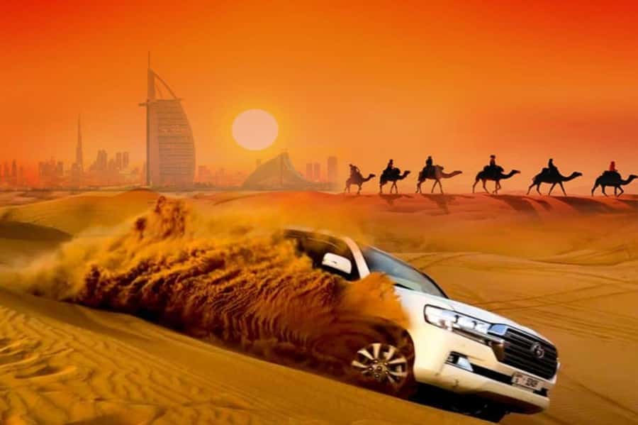 Dubai: Desert Safari Camel Riding, Sandboarding & BBQ Dinner - Sandboarding down the dunes
