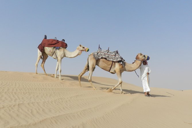 Dubai Desert Safari Dune Bashing, 60min ATV Quad, Camel Ride, BBQ - The Majlis camp and its five-hour program