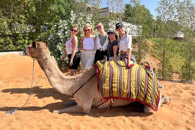 Dubai Desert Safari: Dune Bashing, Camel Ride & BBQ Dinner - Practical details that can save you trouble