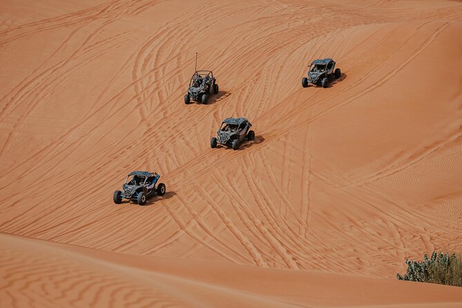 Dubai Desert Safari Dune Bashing, Camel Ride, Sandboarding & BBQ - What the guides add to the experience
