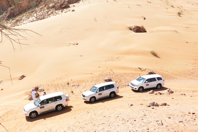Dubai Desert Safari Exclusive jeep, activities, shows (01-05 persons) per jeep - From Dubai hotel pickup to the golden dunes