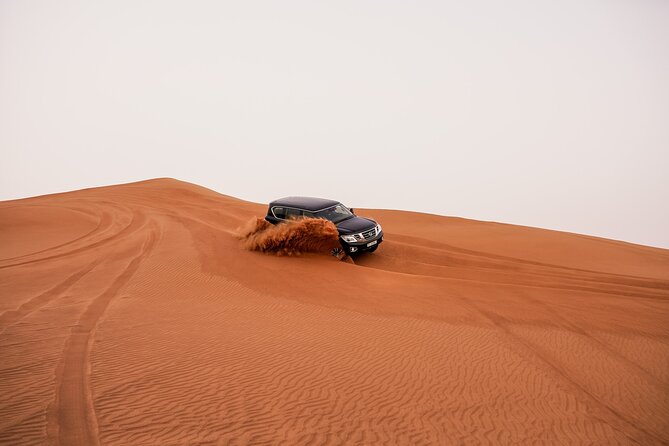 Dubai Desert Safari: Experience the Best of the Arabian Desert - Who will get the most from this safari