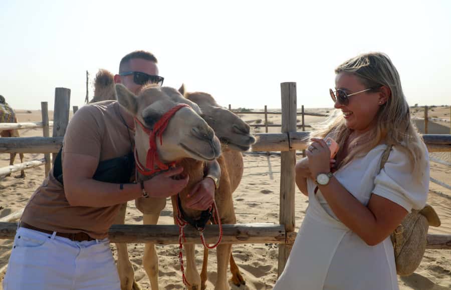Dubai: Desert Safari, Quad Bike, Sandboarding, Camels & BBQ - Dune bashing across the red sand