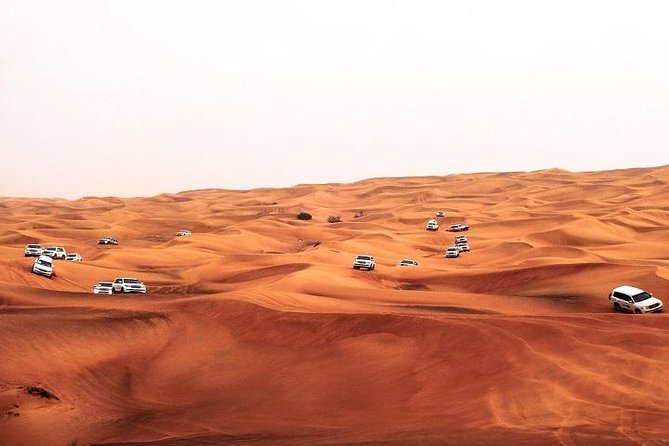 Dubai Desert Safari Red Dune: BBQ, Camel Ride & Sandboarding - Key points to know before booking