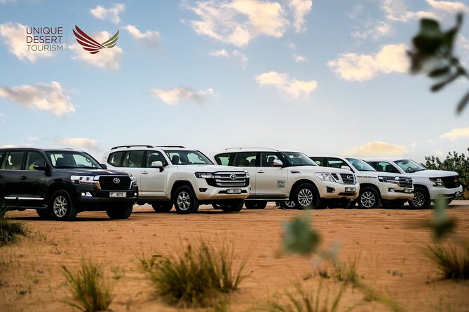 Dubai Desert Safari Standard Package - Dune bashing is the main burst of excitement