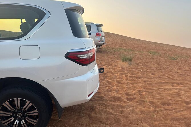 Dubai Desert Safari Thrilling Adventure Unforgettable Experiences - Camel riding, henna, and camp activities