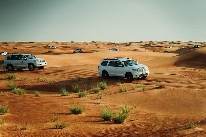Dubai Desert Safari Tour by 4WD with Options - Dinner, shows, and the final hours