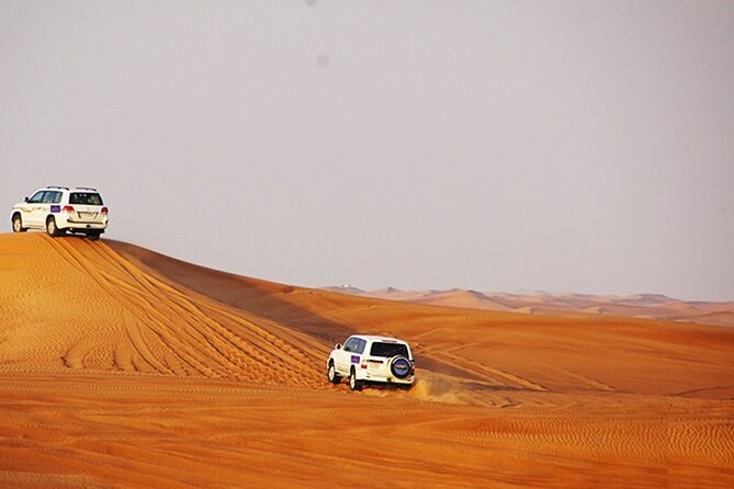 Dubai Desert Safari with BBQ, 3 Shows & Camel Ride at Majlis Camp - The camel ride: traditional transport in a short format
