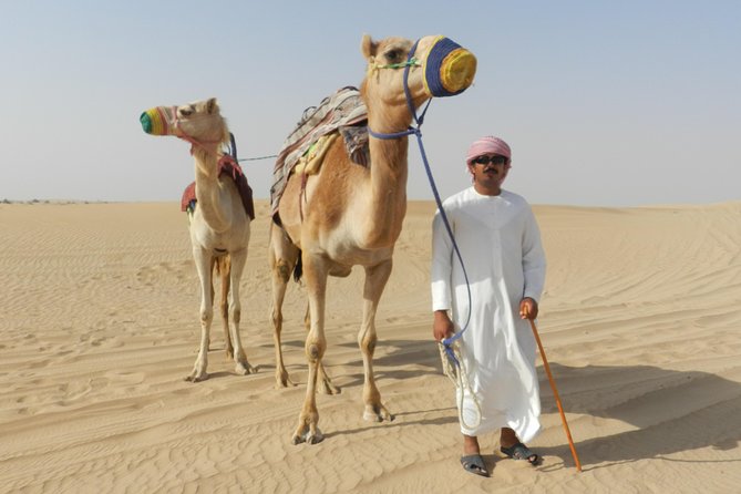 Dubai Desert Safari with BBQ, 3 Shows & Camel Ride at Majlis Camp - Time, crowds, and the real value of $37.05