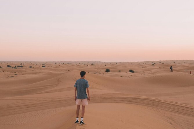 Dubai Desert Safari with BBQ Dinner and Live Shows - Three live shows keep the evening moving