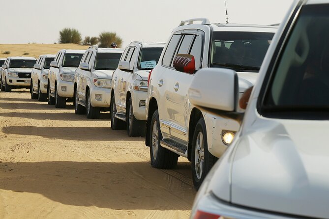 Dubai Desert Safari with Belly Dance, Fire Show and Tanura Show-The Full Package - A camel ride and Arabic welcome at the desert camp