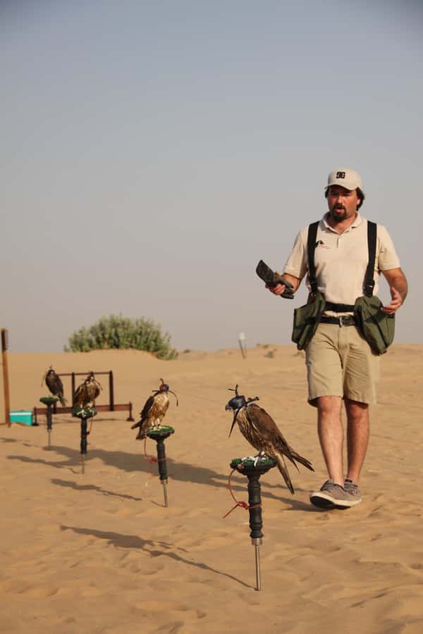 Dubai Desert Safari with Burj Khalifa (Ticket Only) - Dune driving and sunset from the sand